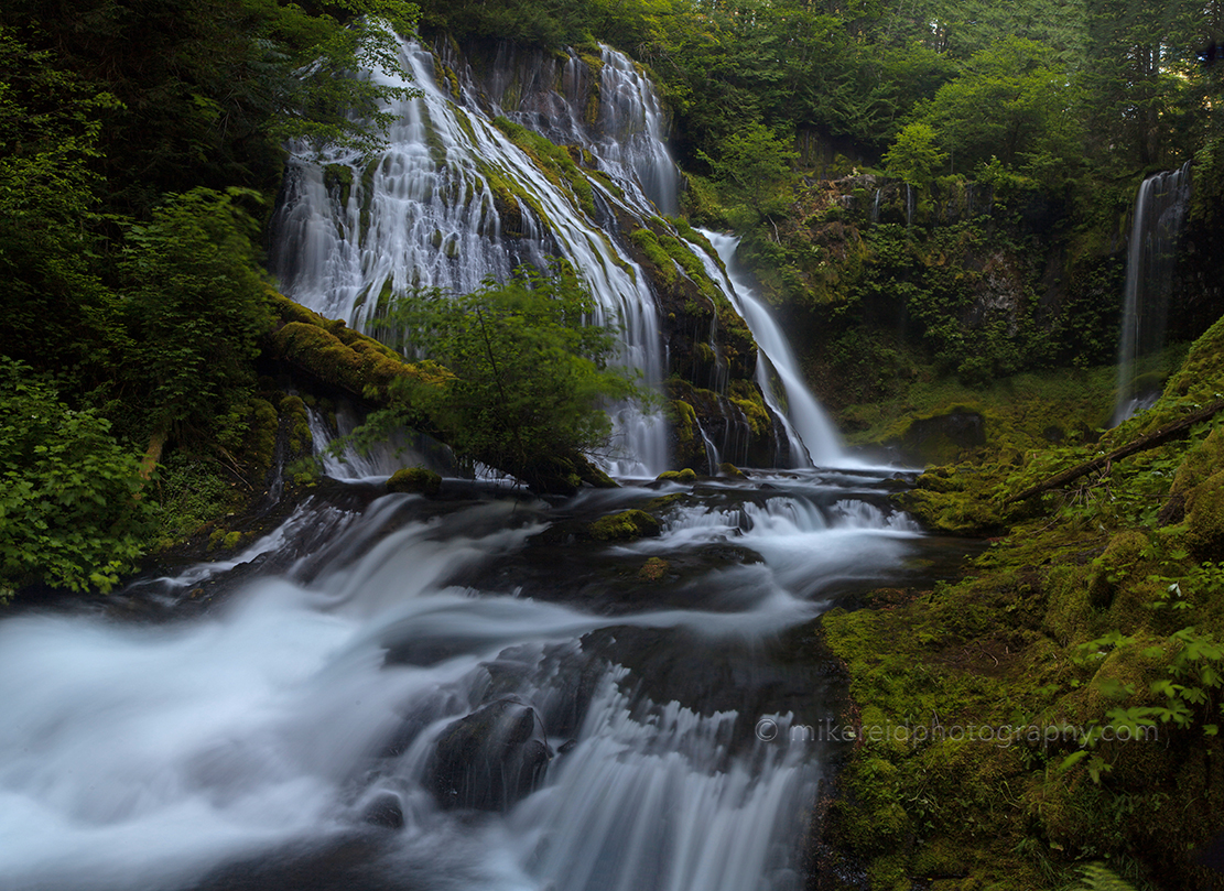 Wide Panther Creek Falls